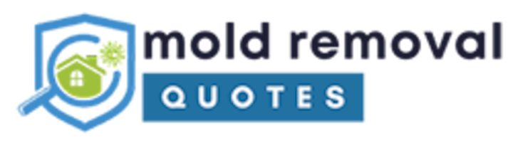 mold removal sumter sc